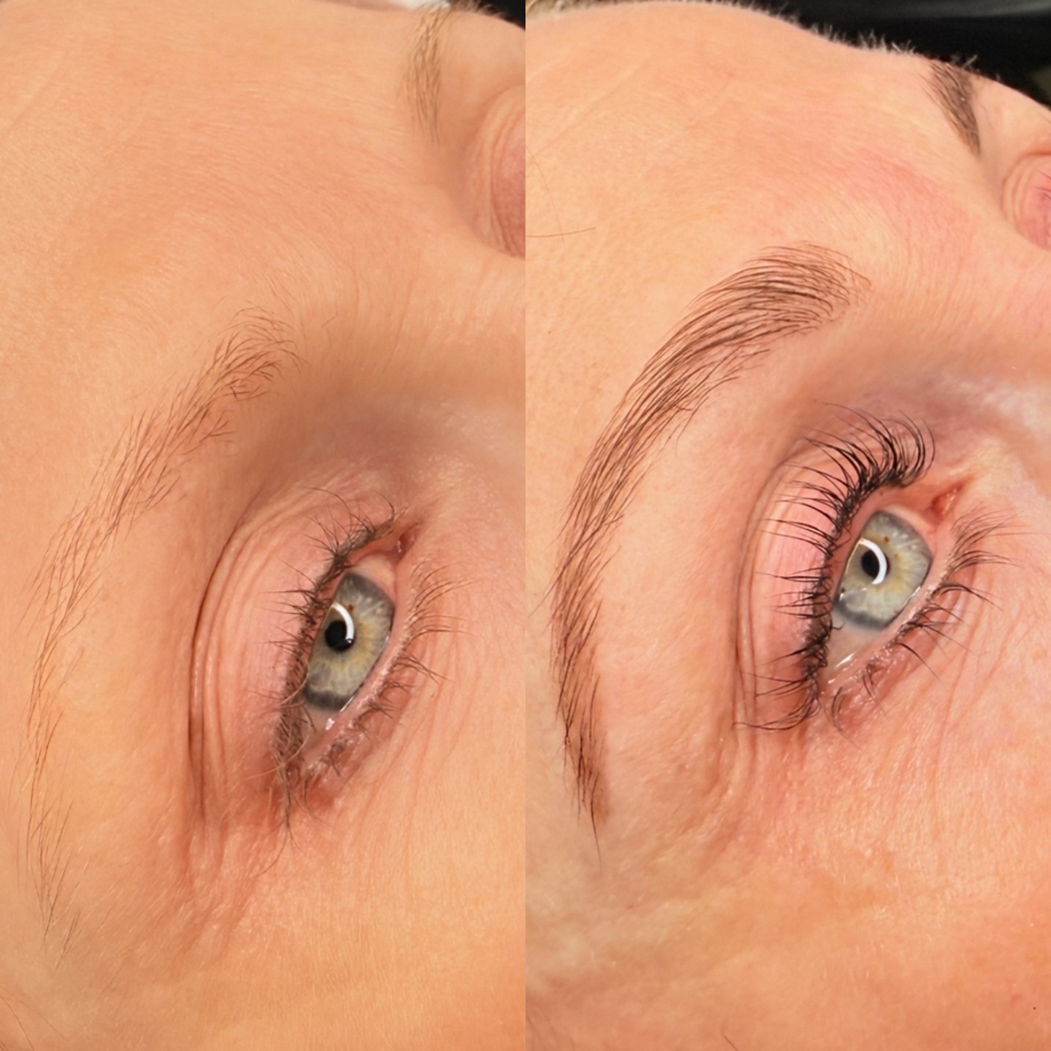 latest-logo-big-transparent